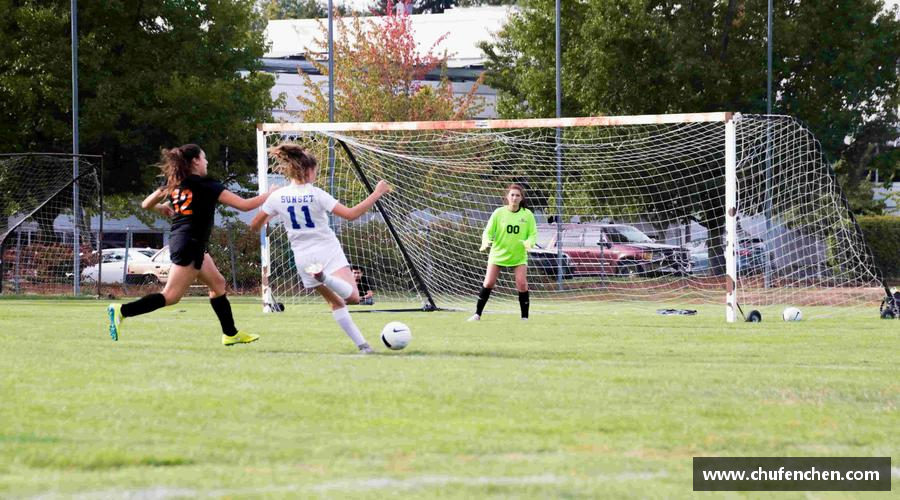 精彩瞬间，尽在体育